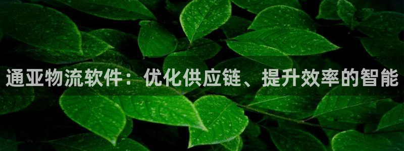 超凡国际登陆网