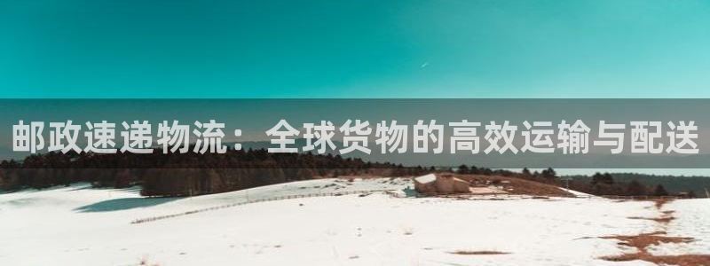 超凡国际是啥：邮政速递物流：全球货物的高效运输与配送