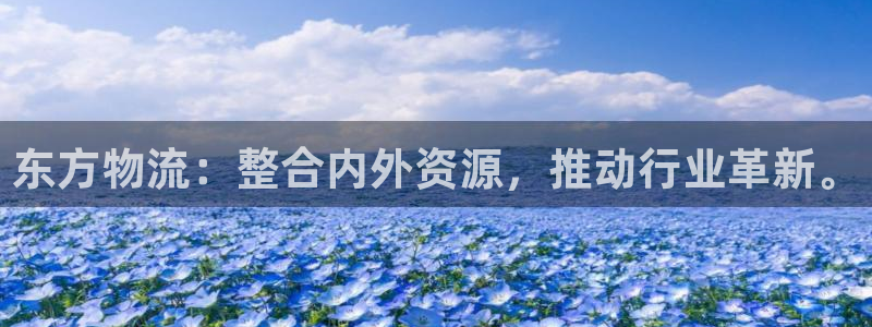 超凡国际h5链接：东方物流：整合内外