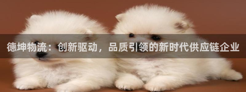 pc超凡国际怎么注册：德坤物流：创新