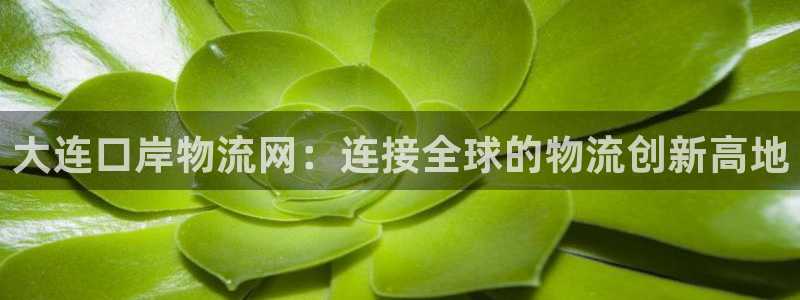 超凡国际加拿大开奖：大连口岸物流网：