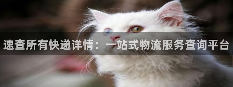 超凡国际加拿大怎么玩：速查所有快递详