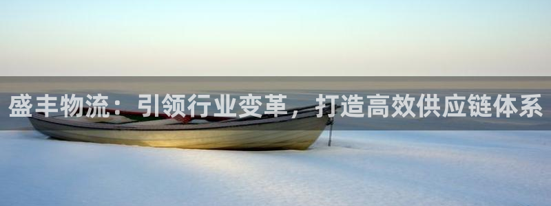 超凡国际模拟器在线使用：盛丰物流：引