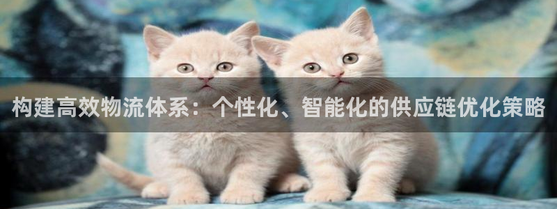 超凡国际口：构建高效物流体系：个性化