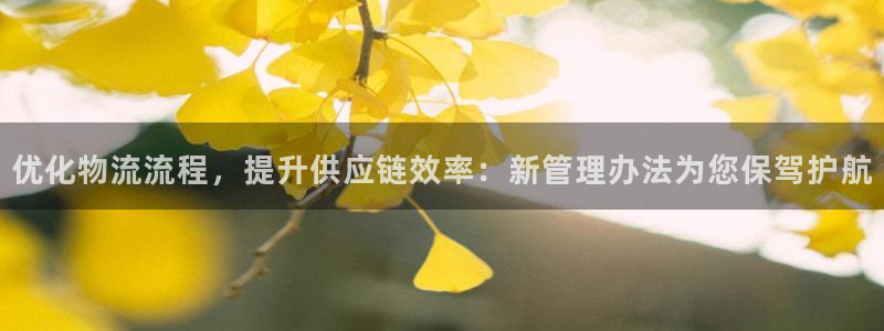南宫超凡国际怎么注册：优化物流流程，