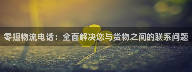 超凡国际官网版2024：零担物流电话