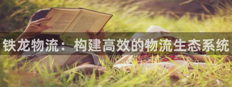 超凡国际h5链接：铁龙物流：构建高效