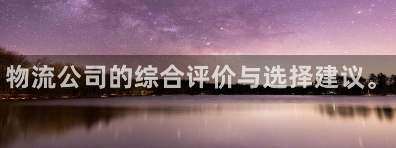 超凡国际模拟器在线玩：物流公司的综合评价与选择建议。