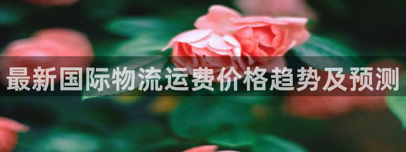超凡国际官网入口官网：最新国际物流运