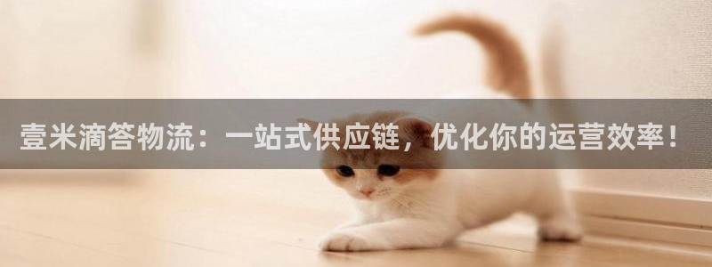 超凡国际电子：壹米滴答物流：一站式供