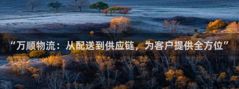 超凡国际注册号:“万顺物流:从配送到
