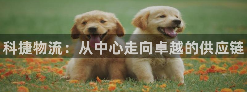 超凡国际初始密码在哪里修改的:科捷物