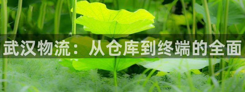 超凡国际人头费:武汉物流:从仓库到终