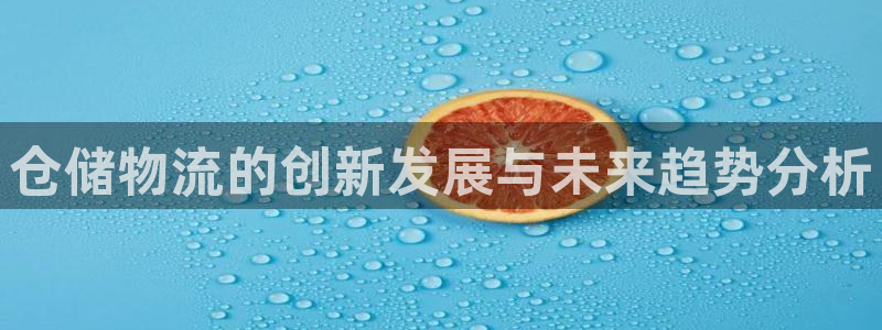 超凡国际官网版所有版本：仓储物流的创新发展与未来趋势分析