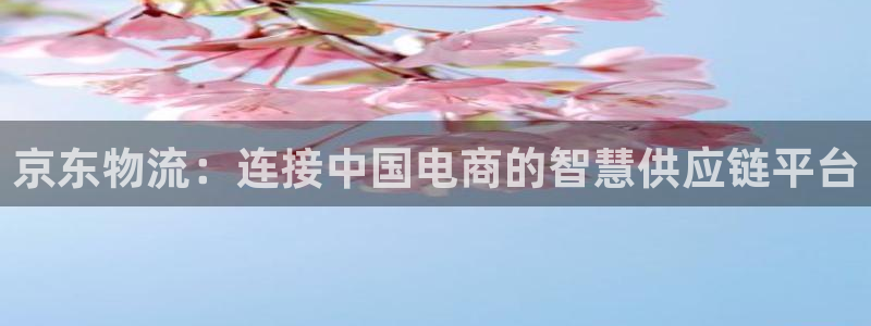 超凡国际提款一直没到：京东物流：连接