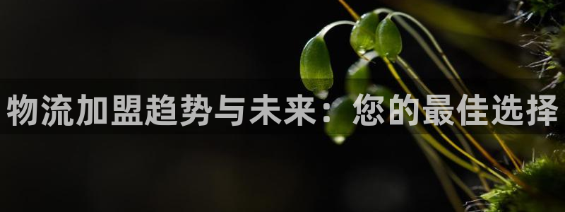 超凡国际图片：物流加盟趋势与未来：您