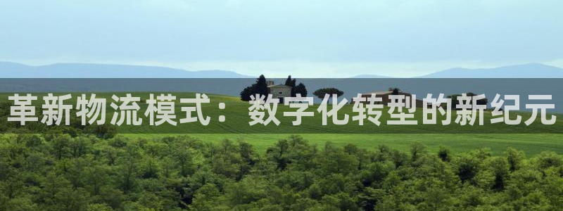 超凡国际官网入口南宫：革新物流模式：