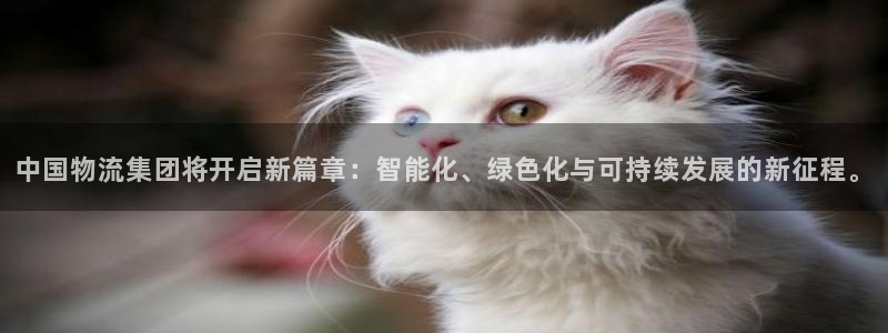 超凡国际登陆网：中国物流集团将开启新