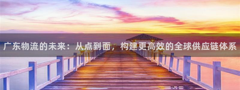 超凡国际下载二维码怎么弄：广东物流的未来：从点到面，构建更高